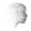 Setter AI